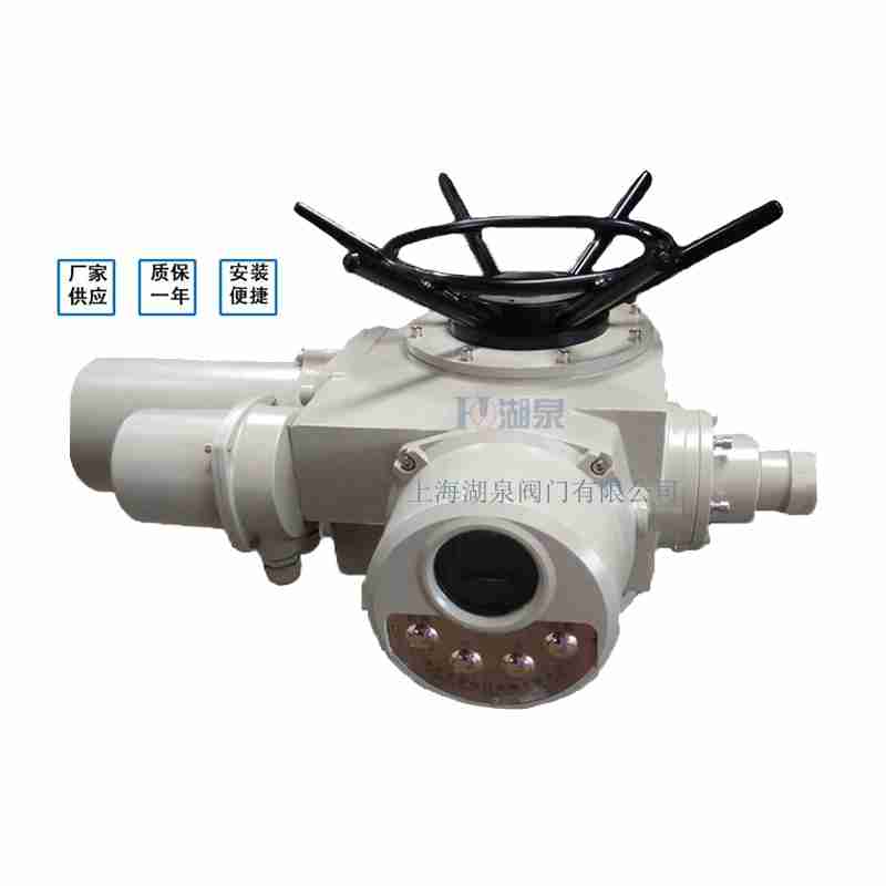 閥門電動裝置（dzw05,10,20，30,45,60，90,12