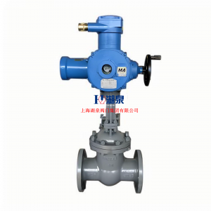  物聯(lián)網(wǎng)智能型閥門(mén)電動(dòng)裝置ZB60-24(380)