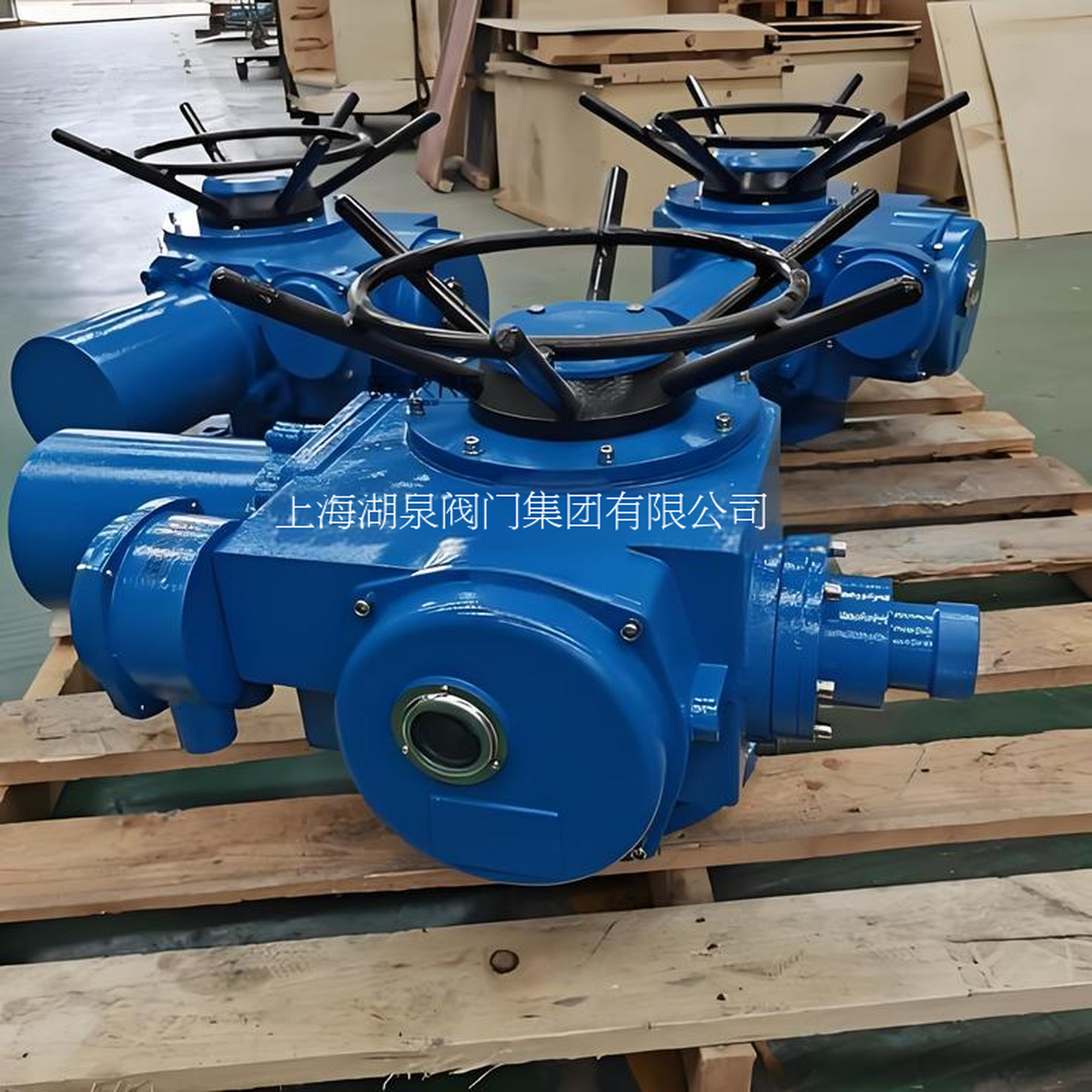 閥門電動(dòng)裝置