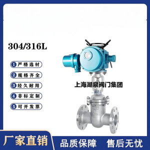 Z941W-16P，DN250，CF8/F304不銹鋼電動閘閥